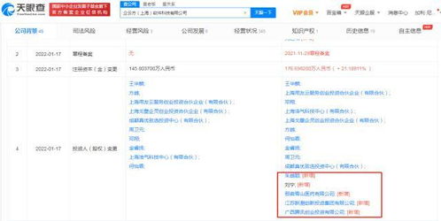 信息系統(tǒng)集成服務(wù)的核心價(jià)值與發(fā)展趨勢